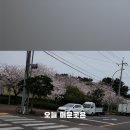 연지정육
