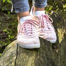 장정구 다이어트 복싱 이미지