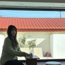 스테이78 | 제주 도록도록 안채 내돈내산 이용후기 | 구좌읍 종달리 감성숙소추천 | 제주도 독채스테이 추천