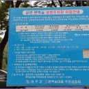 상관편백숲 공영주차장 이미지