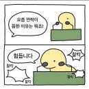 레드포션 이미지