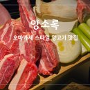 양소록 이미지