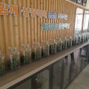 인천한길초등학교 이미지