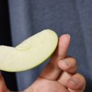 제철솜씨 이미지