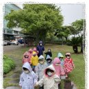 우산셋이나란히어린이집 이미지
