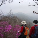 염팡 티스토리