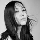 개냥이 세계 이미지