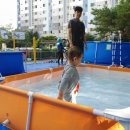 오가닉맘현대백화점 이미지