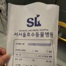 서서울호수동물병원