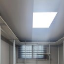 알파그린 이미지