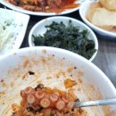 시골낙지 이미지