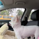 헤이뚜뚜 이미지