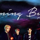 토니모리 쿠션팩트 좀 좋은거 같아 이미지