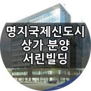 명지국제신도시 상가분양 포스코 맞은편의 서린빌딩 이미지