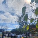 삼천포중앙고등학교 이미지