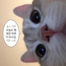 인재빌딩 | [KB Dream Wave 2030] 2026 KB인재양성 합격후기