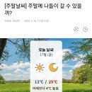 [주말날씨] 주말에 나들이 갈 수 있을까? 이미지