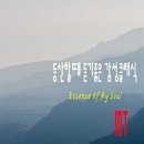 상해 디즈니랜드 인근 가성비 숙소 노보텔 상하이 클로버 디럭스룸 후기, 셔틀버스 정보