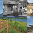 중원문화길 1구간 이미지