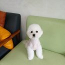 미모아미용실 이미지