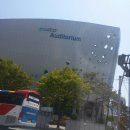 펫콤마 | 부산 벡스코 “케이펫페어” 박람회 개미남,개미녀도 다녀왔습니다.