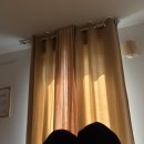 마레보주 | 혼자 파리여행 2일차ㅣ생마르탱운하, 마레지구, 보주광장, 바토무슈