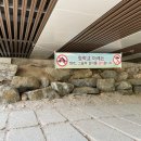 비에이치씨 청학점 | 남양주 수락산 청학밸리 평일 나들이 후기