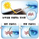 봄빛 안경 이미지