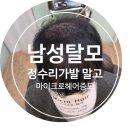 마이크로헤어증모