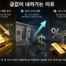 더좋은선택