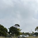 뉴유아이 CC 라운딩 후기 후쿠오카 골프여행