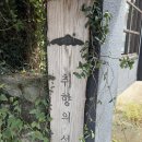 수창홀 | [제주 여행] 제주 남원 위미 맛집, 1인 셰프의 정성 가득한 퓨전 양식! 취향의섬