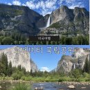 미주투어 | 미국 요세미티 당일투어 가격 예약 후기 할인팁까지
