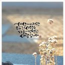 캘리스토리 이미지