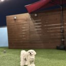 브루하하유치원 이미지