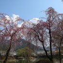 영산 연지 이미지