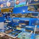 소로3-안영15호선 | 가락시장수산시장 명가수산 제철 방어 즐긴 후기(방어시즌 돌아옴)