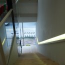 동물병원루니 이미지