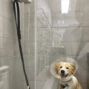 으뜸원동물병원 이미지