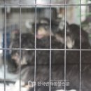 안기고물