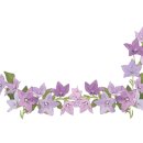 유가네족발 이미지