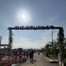 사계절꽃농원 | 경기 - 가족들과 소중한 추억을 남기고 싶다면! 천일홍 축제 + 핑크뮬리[나리농원] 양주