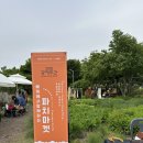 공예장터 | 2025 공예주간 제주, 베케 파치마켓 방문 &amp; 부스 준비 후기