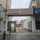 포케올데이광주
