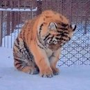 FACE안경원 네이버블로그