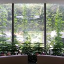 서초구보건소 이미지