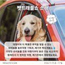 케이트레블주