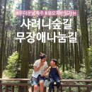 함께나눔길 | [공지] 제주 샤려니숲길 가는법 주차 무장애나눔길 아이 유모차 산책