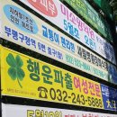 행운파출 이미지