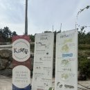 K농장 | 고흥카페 커피농장 산티아고 K-커피 후기 (내돈내산)